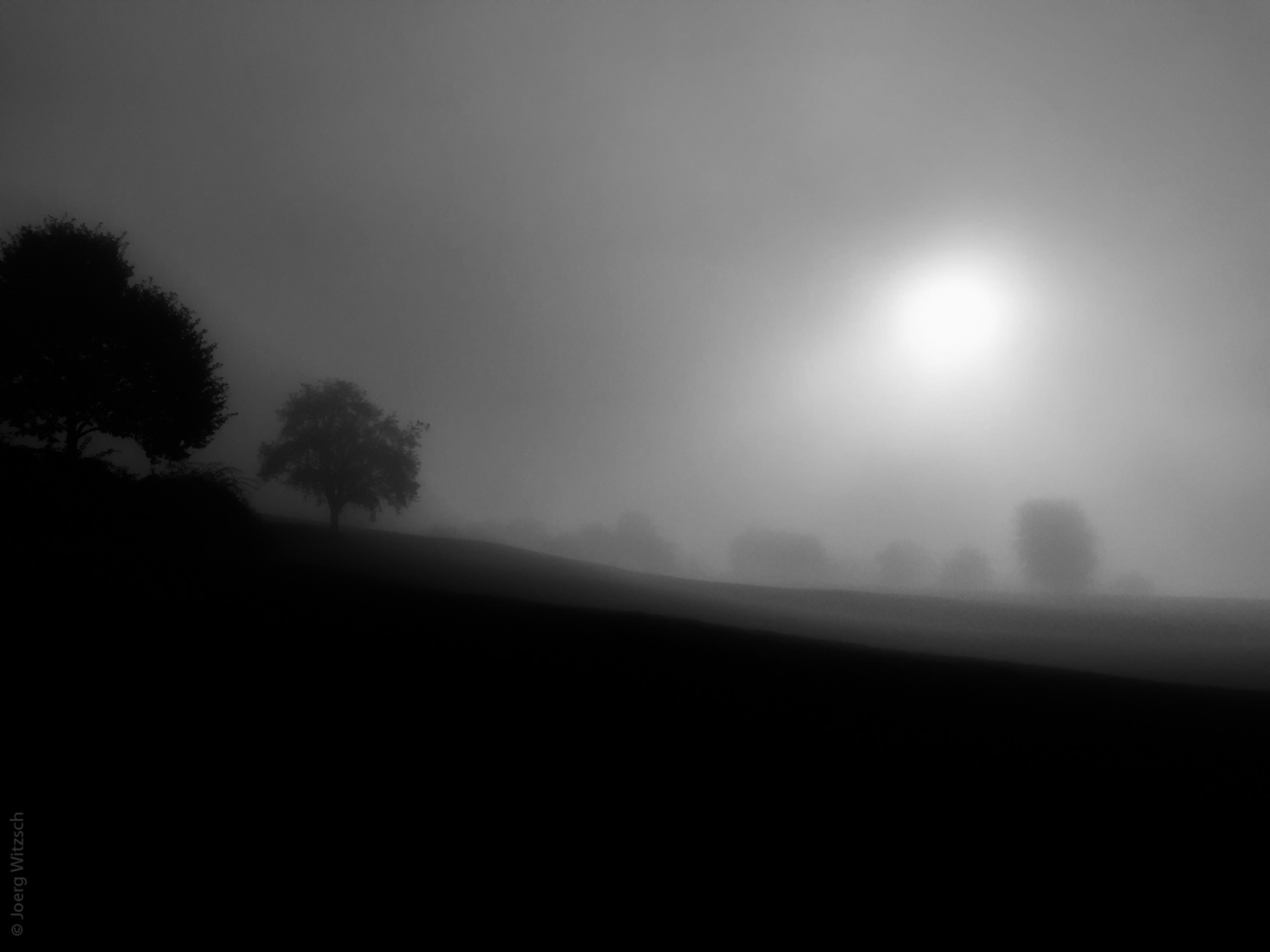 Black Forest Misty Sunrise (BW)