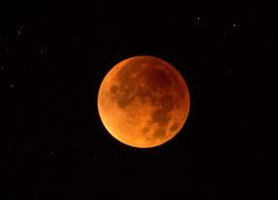 Lunar Eclipse V: 04:48 - full eclipse, the bloodmoon among the stars